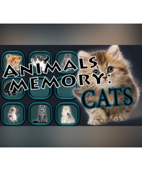 Animals Memory: Cats Steam Key EUROPE